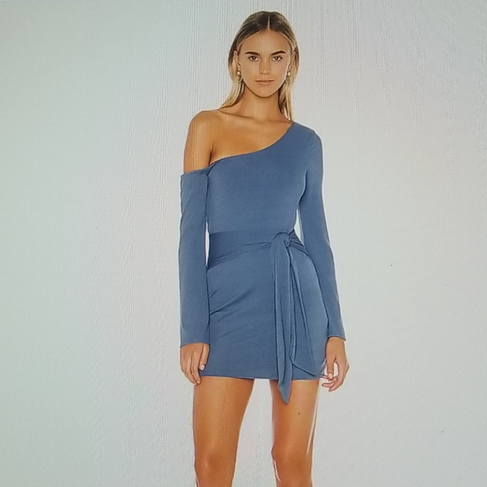 Privacy Please Chloe Mini Dress
